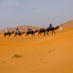 7 Days Desert Tour From Casablanca To Marrakech
