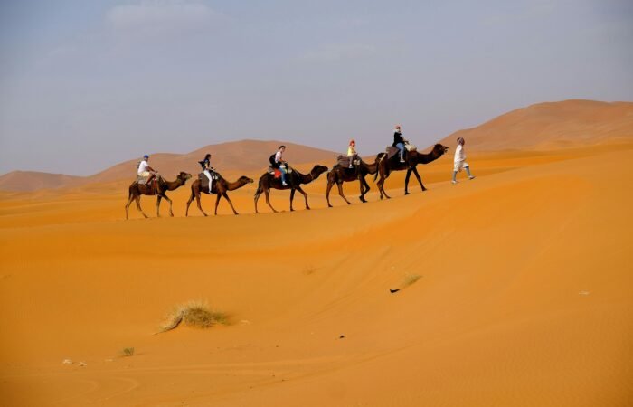 7 Days Desert Tour From Casablanca To Marrakech