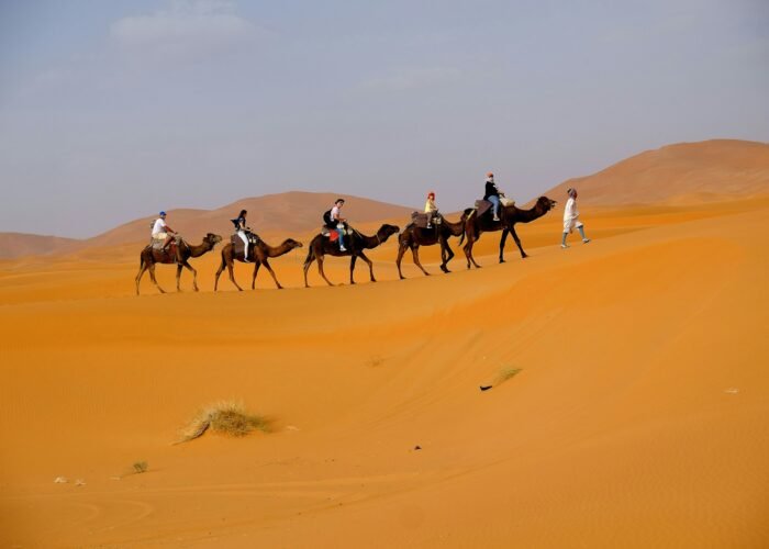 7 Days Desert Tour From Casablanca To Marrakech