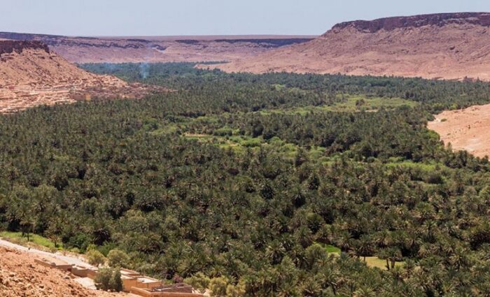 In ziz valley to explore the Capital of the dates