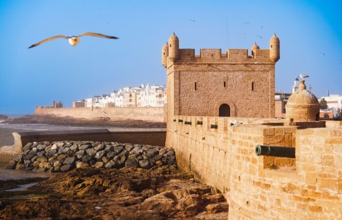 Day Trip To Essaouira