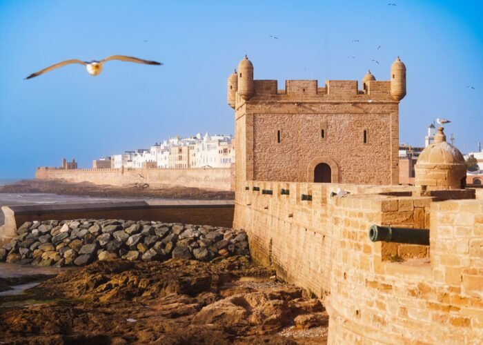 Day Trip To Essaouira