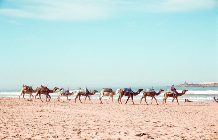 13 Days Desert Tour From Tanger to Tanger