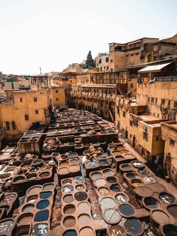 tours from fes morocco